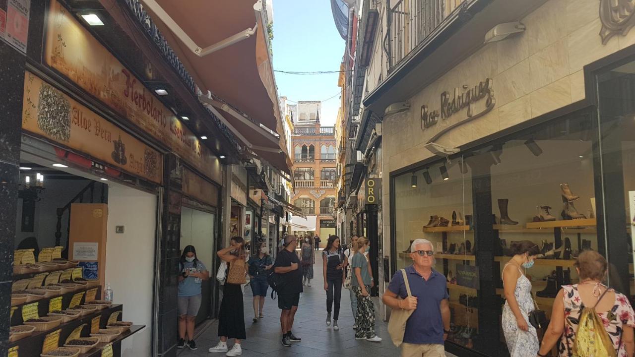 Ubicacion Top Junto Catedral A Acond Y Wifi Sevilla Exteriör bild